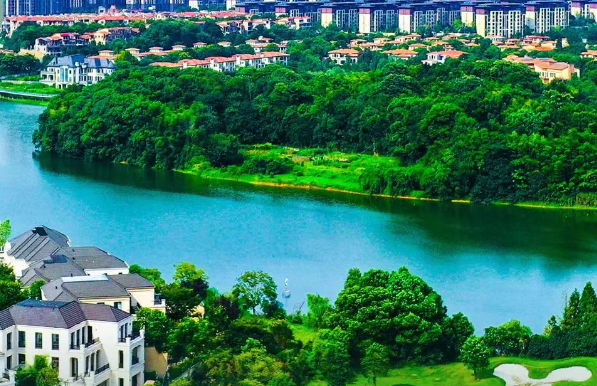 金山橋街道環(huán)衛(wèi)清掃保潔維護(hù)服務(wù)項(xiàng)目